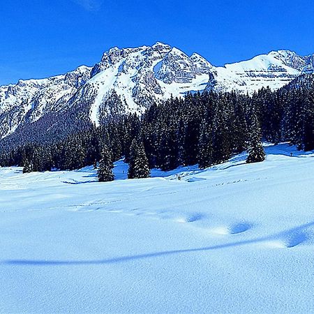 Campiglio Trilocale Monte Spinale Apartment Madonna Cameră foto